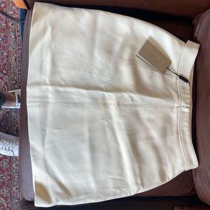 Burberry skirt